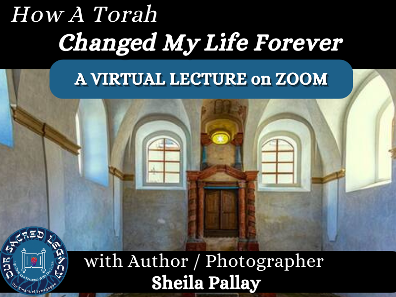 Sheila Pallay Returns on ZOOM