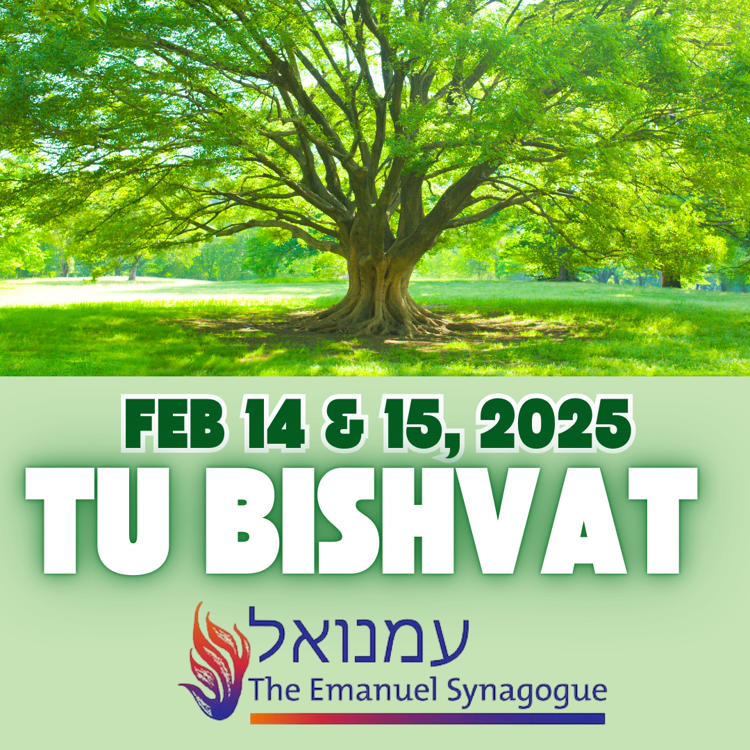 Celebrate Tu Bishvat at The Emanuel Synagogue