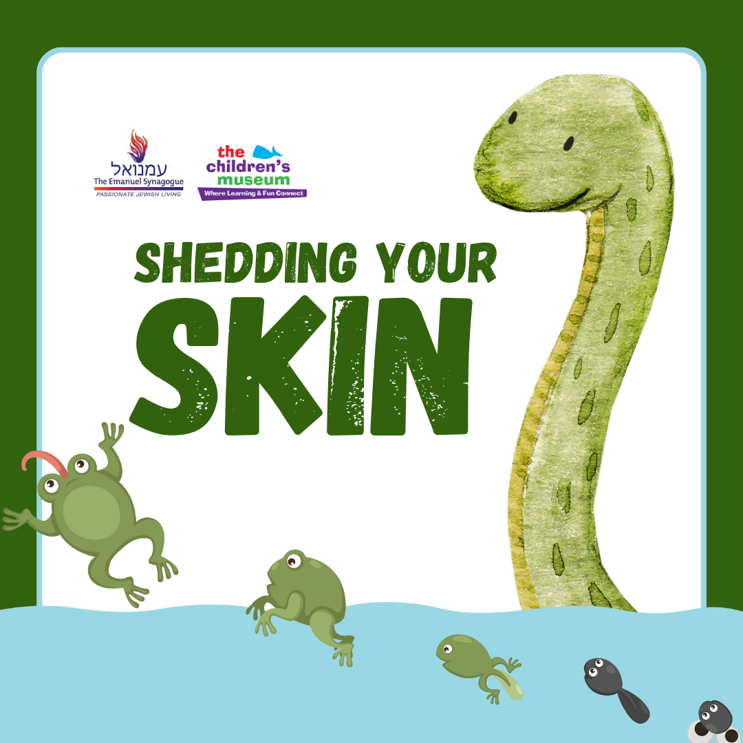 Shedding Your Skin: Rosh Hashanah Children's Program