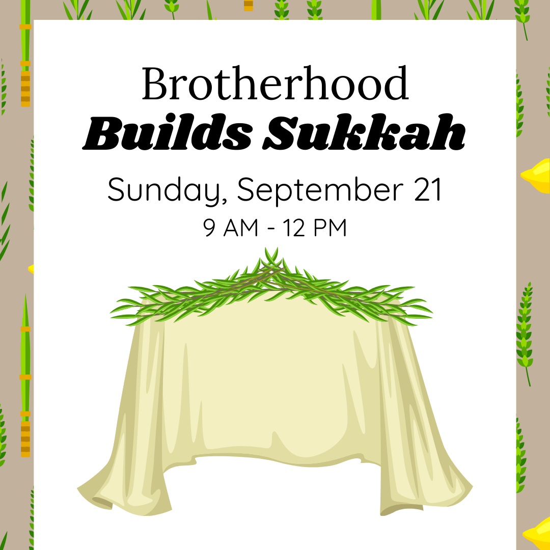 Brotherhood Build Sukkah