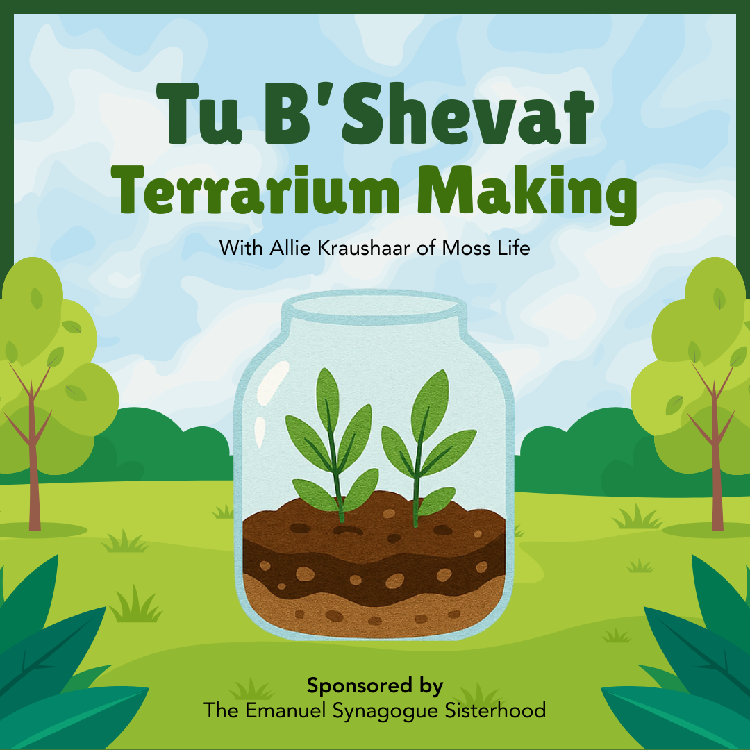 Tu B’Shevat Terrarium Making Program